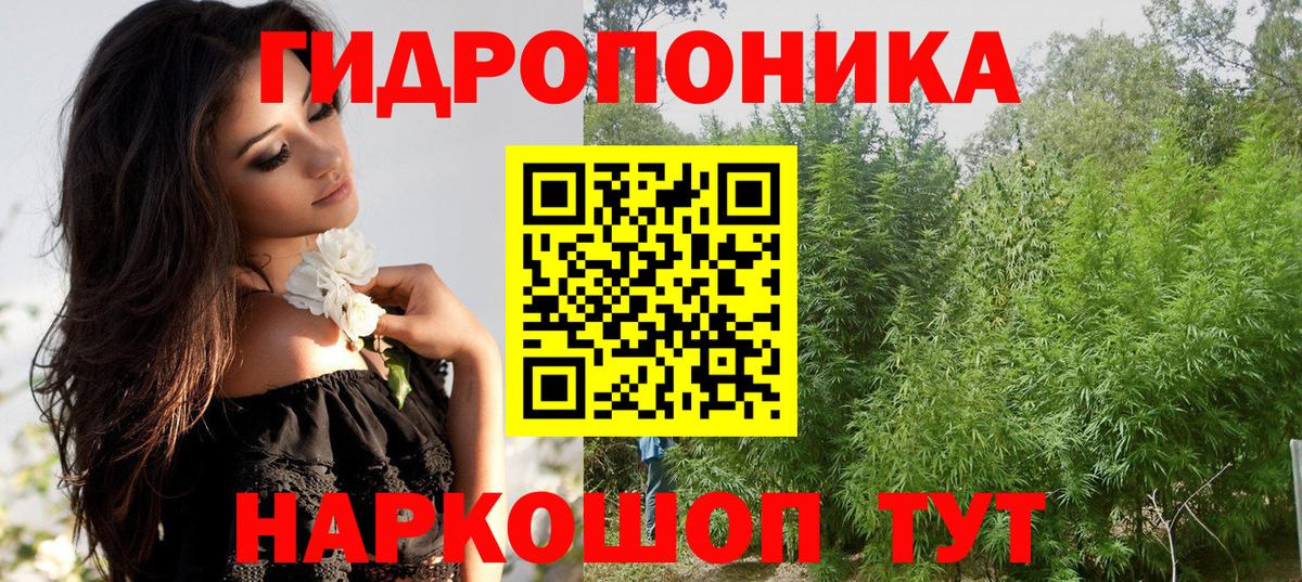 Бошки Шишки THC 21%  Вход с VPN  МАРИХУАНА VHQ  Конопля VHQ  Канабис SATIVA & INDICA  Камышлов 